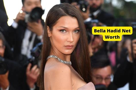 bella hadid net worth 2024